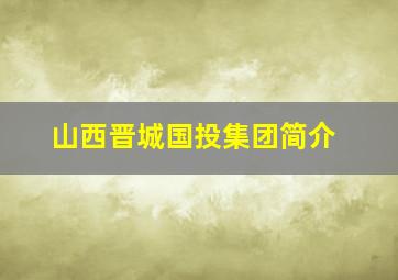 山西晋城国投集团简介