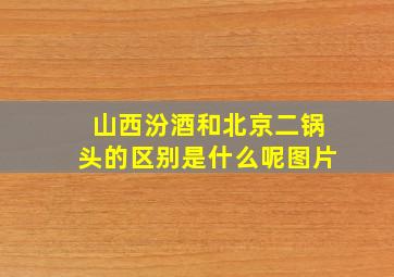 山西汾酒和北京二锅头的区别是什么呢图片