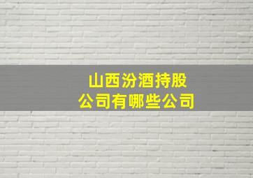 山西汾酒持股公司有哪些公司