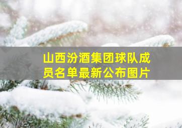 山西汾酒集团球队成员名单最新公布图片