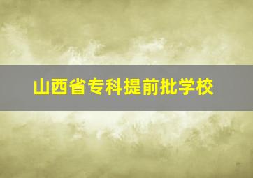 山西省专科提前批学校