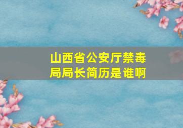 山西省公安厅禁毒局局长简历是谁啊