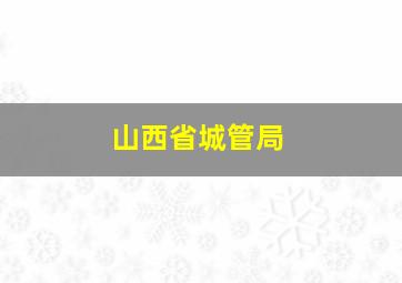 山西省城管局