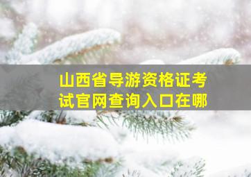 山西省导游资格证考试官网查询入口在哪