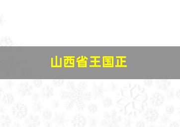 山西省王国正