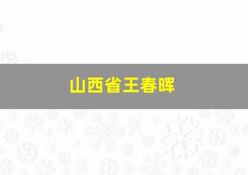 山西省王春晖