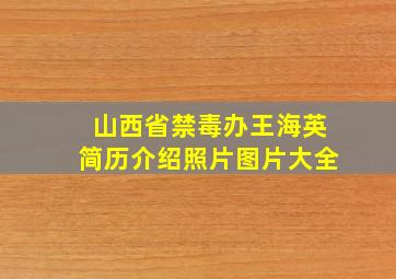 山西省禁毒办王海英简历介绍照片图片大全