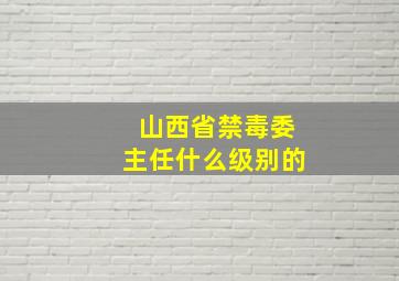 山西省禁毒委主任什么级别的