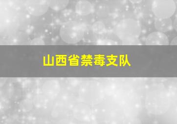 山西省禁毒支队