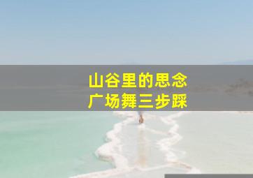 山谷里的思念广场舞三步踩