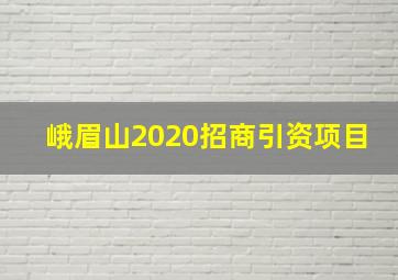 峨眉山2020招商引资项目