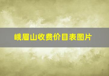 峨眉山收费价目表图片