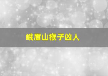 峨眉山猴子凶人