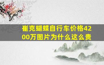 崔克蝴蝶自行车价格4200万图片为什么这么贵