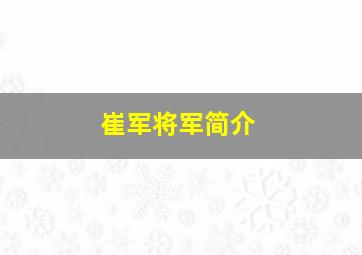 崔军将军简介