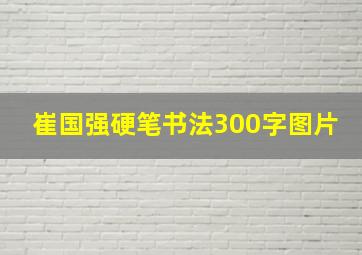 崔国强硬笔书法300字图片