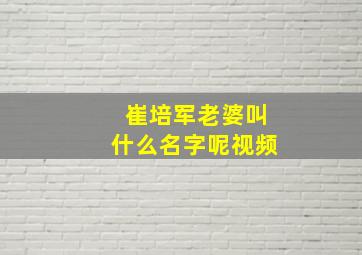 崔培军老婆叫什么名字呢视频