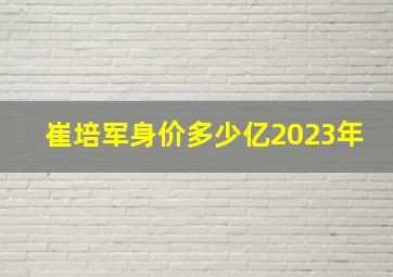 崔培军身价多少亿2023年