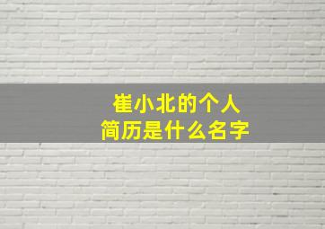 崔小北的个人简历是什么名字