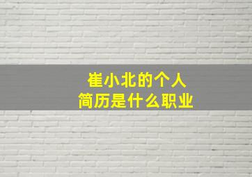 崔小北的个人简历是什么职业