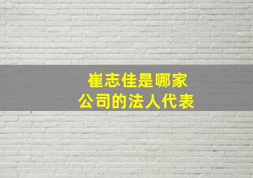 崔志佳是哪家公司的法人代表