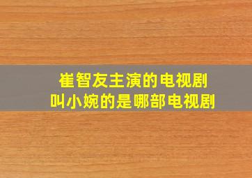 崔智友主演的电视剧叫小婉的是哪部电视剧