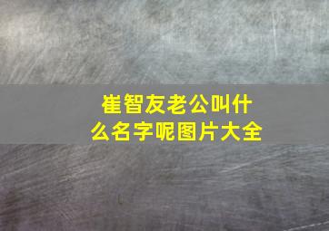 崔智友老公叫什么名字呢图片大全