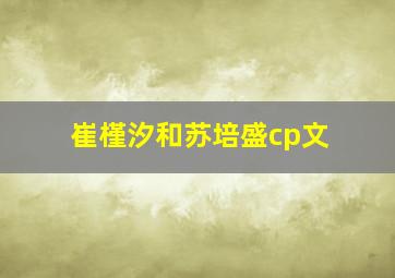 崔槿汐和苏培盛cp文