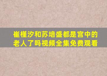 崔槿汐和苏培盛都是宫中的老人了吗视频全集免费观看