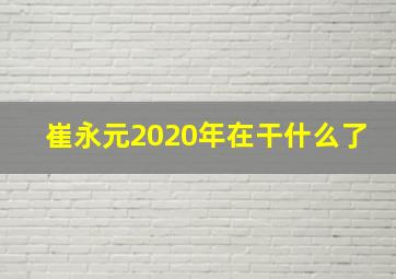 崔永元2020年在干什么了