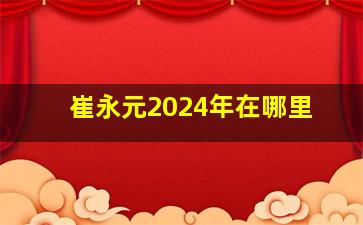 崔永元2024年在哪里