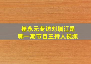 崔永元专访刘瑞江是哪一期节目主持人视频