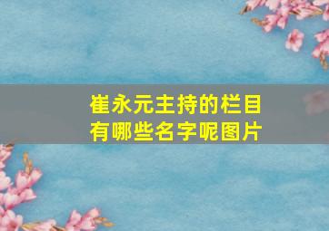 崔永元主持的栏目有哪些名字呢图片