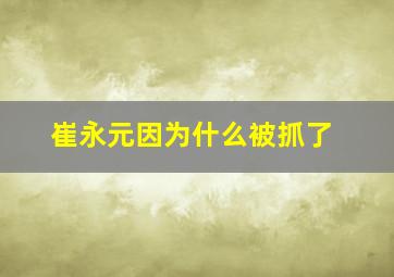 崔永元因为什么被抓了