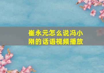 崔永元怎么说冯小刚的话语视频播放