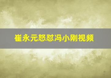 崔永元怒怼冯小刚视频