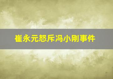 崔永元怒斥冯小刚事件