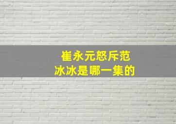 崔永元怒斥范冰冰是哪一集的