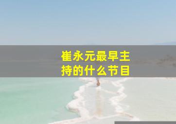 崔永元最早主持的什么节目