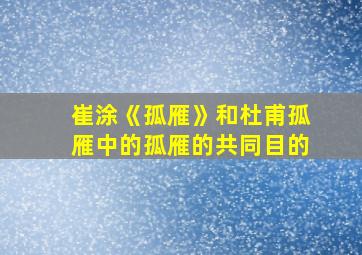 崔涂《孤雁》和杜甫孤雁中的孤雁的共同目的