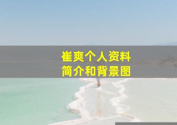 崔爽个人资料简介和背景图