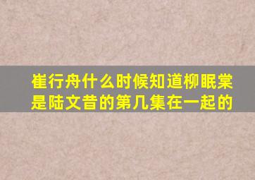 崔行舟什么时候知道柳眠棠是陆文昔的第几集在一起的