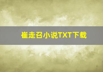 崔走召小说TXT下载