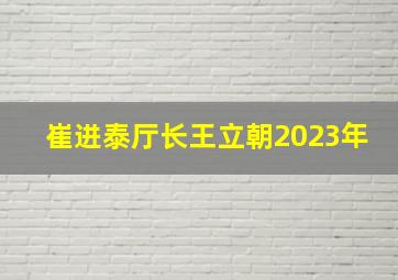 崔进泰厅长王立朝2023年