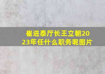 崔进泰厅长王立朝2023年任什么职务呢图片