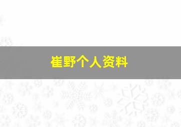 崔野个人资料