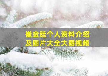 崔金廷个人资料介绍及图片大全大图视频