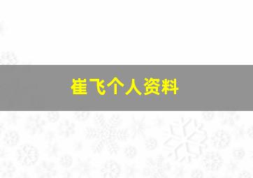 崔飞个人资料