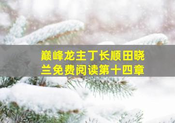 巅峰龙主丁长顺田晓兰免费阅读第十四章