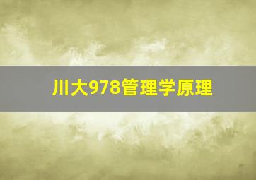 川大978管理学原理